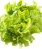 Farm Fresh Vegetable
