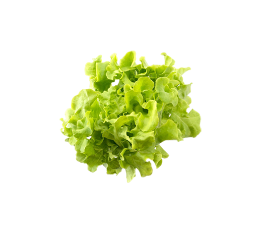 Green Vegetable