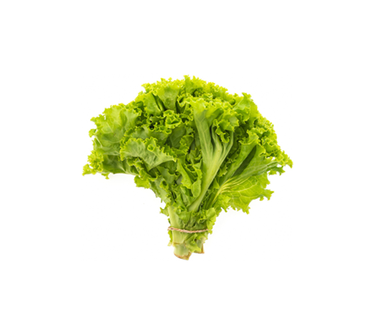 Green Vegetable